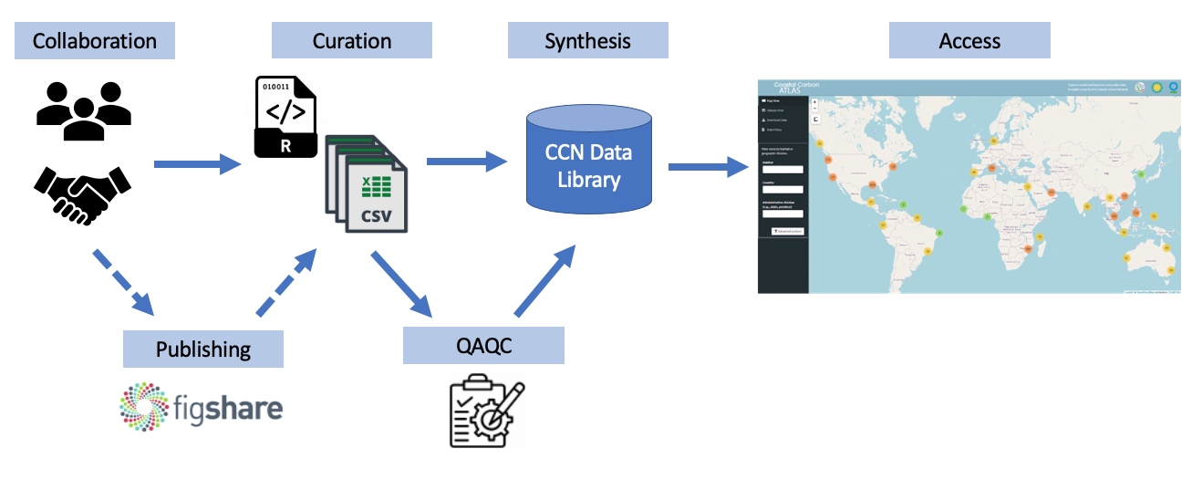 CCN Data Synthesis Workflow